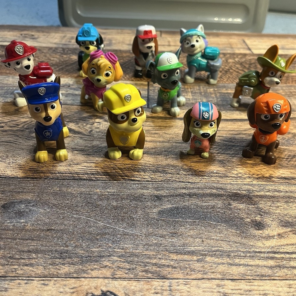 Paw Patrol Figures Lot of 11 Characters Rocky Skye Marshall Chase Rubble